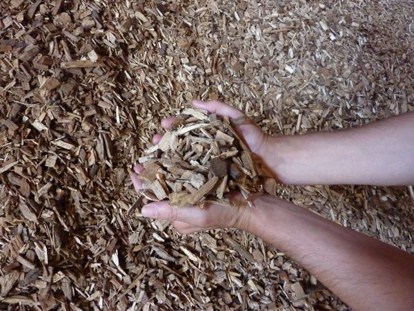 WoodChip600